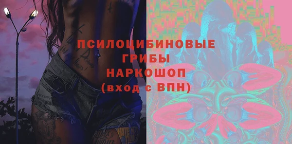 крисы Алексин