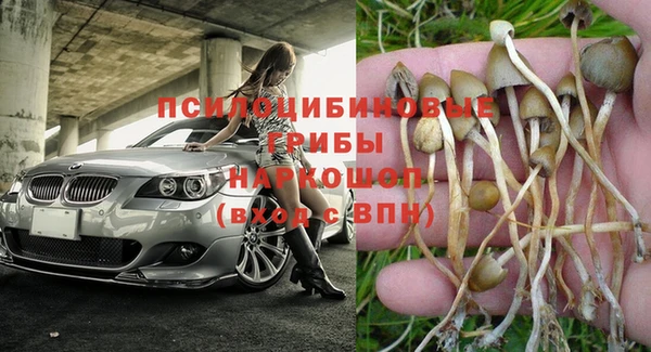 эйфоретик Абдулино