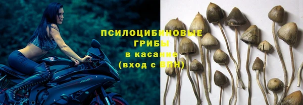 эйфоретик Абдулино